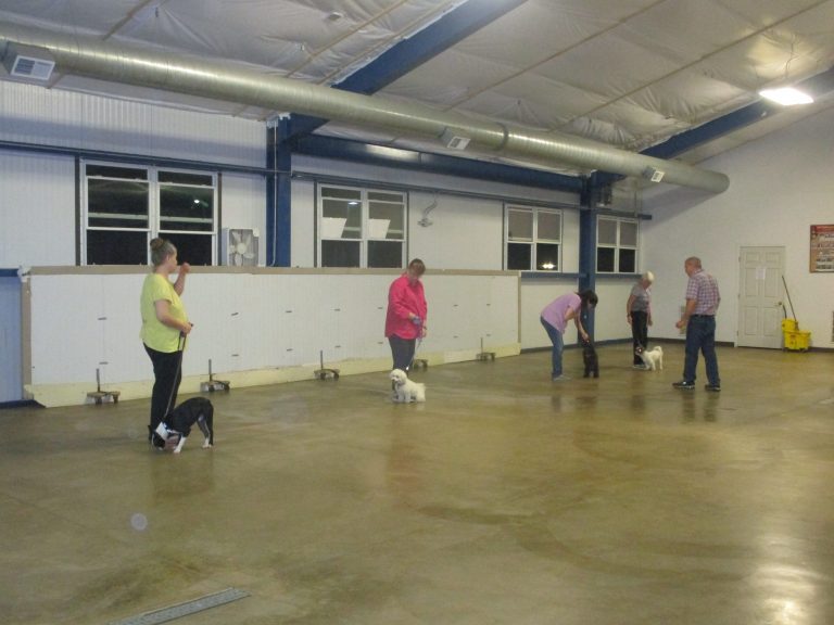 Owners and their dogs practicing in dog training class